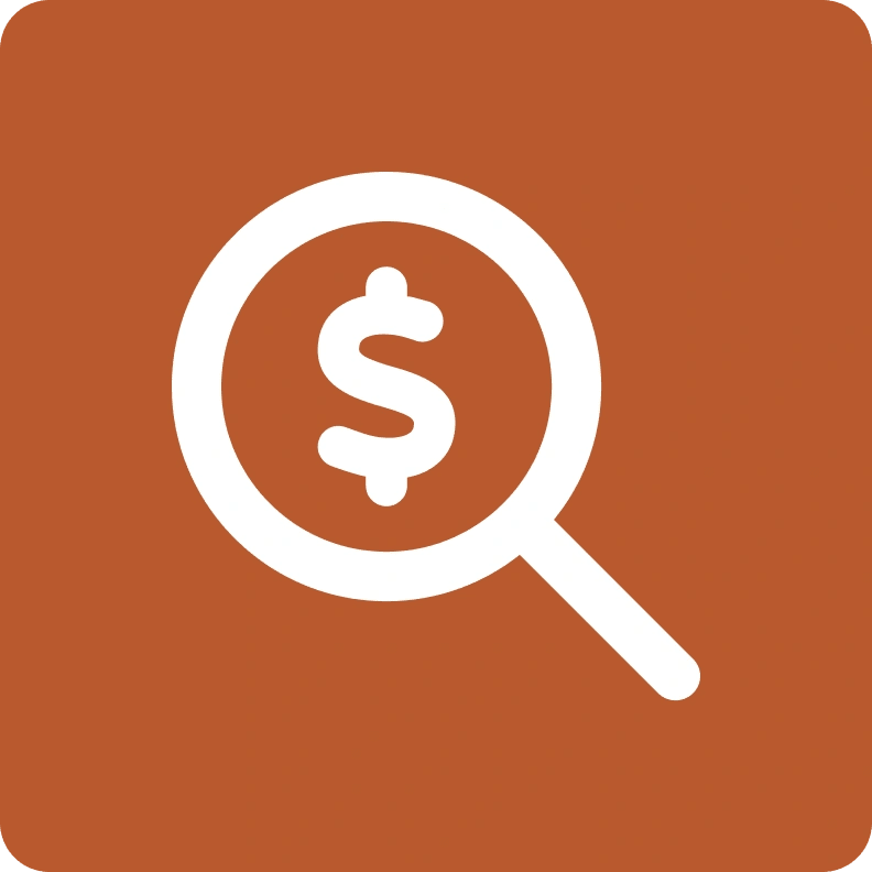 Magnifying icon looking at a dollar sign.