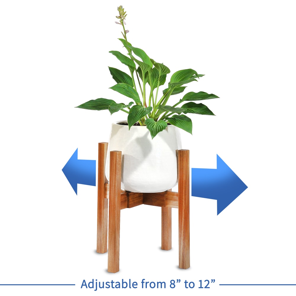 Option image